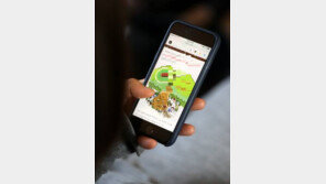 SK텔레콤 통신장애, SNS 반응 보니…“행인한테 전화 빌렸다, 열 받아”