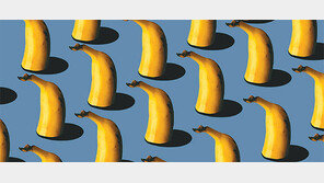 [책의 향기]바나나 멸종, 결코 먼 미래가 아닌 까닭