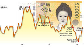 환율 불안… 수출전선 ‘빨간불’