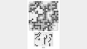 [바둑]알파고 vs 알파고 특선보… 5%의 격차