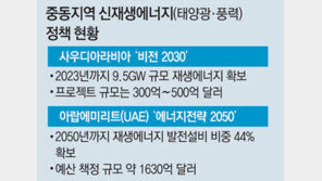 ‘태양광 왕국’ 꿈꾸는 중동의 ‘석유왕국’