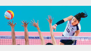 여자배구 슈퍼매치, 승패 떠나 후끈