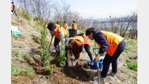 4월 유통업계 미션 “나무를 심자”
