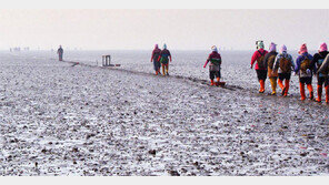 최용백 개인전 ‘송도, 갯벌의 기억’ 14일부터 열려