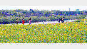 낙동강-금호강 관광자원 활용하는 사업 활발