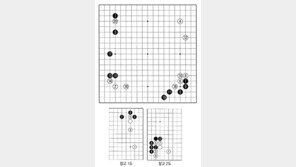[바둑]알파고 vs 알파고 특선보… 알파고가 즐기는 수