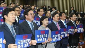 민주당, 국민투표법 개정 촉구