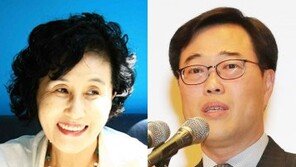 금감원 “김기식 여비서, 비즈니스 아닌 이코노미석”…전여옥 “궁색한 변명”