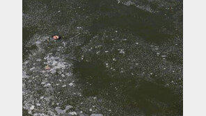 강에 빠진 아기 구한 90세 할아버지 “우리의 미래니까, 구하다 죽어도 괜찮아”