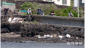 제주 해안 쓰레기로 ‘청정 바다’가 죽어간다