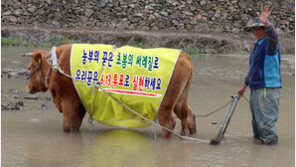 “지방선거에 꼭 참여하세요”