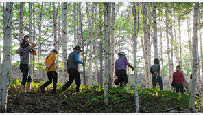 자동차 올레길 ‘미시령 힐링가도’ 열렸다