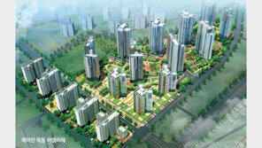 규제에도… 아파트 청약 ‘진주 찾기’