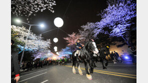 활짝 핀 경기, 어딜가도 꽃대궐