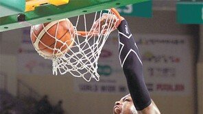 핵 버튼… DB, SK 누르고 챔프전 2연승