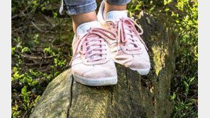 [퇴근길 경제] 취업준비 3년간, 안해본 일 없는데…지원제도 있었다고?