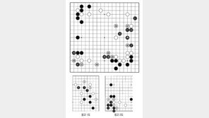 [바둑]알파고 vs 알파고 특선보… 배짱 좋은 흑