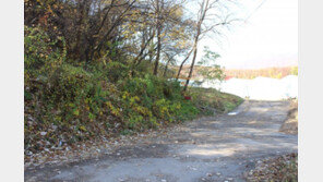 [화제의 분양현장]판교토지, 테크노밸리와 인접…2차분 매각