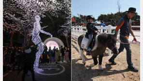 ‘벚꽃을 마주보다’…렛츠런파크서 인생사진 찍어볼까