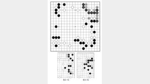 [바둑]알파고 vs 알파고 특선보… 삐끗하면 나락
