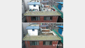 “옥상 텃밭 가꿔 미세먼지 줄이자”