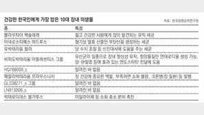 비만-아토피-암… 腸 속 ‘착한 미생물’로 치료한다