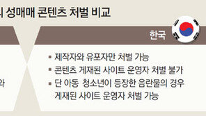 美, 성매매 광고 뿌리뽑기… 게시된 포털-SNS업체도 처벌한다