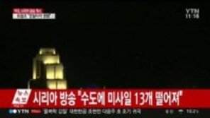 미국 시리아 공격에 주미 러 대사 “러시아 대통령 모욕 용납할 수 없어”