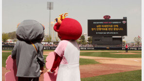 팬의 선택 vs 규정과 건강, ‘미세먼지 취소’ 딜레마