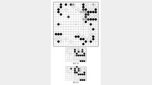 [바둑]알파고 vs 알파고 특선보… 우변 흑의 운명