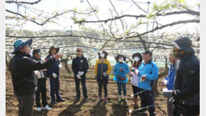 “배 인공수분은 이렇게…”