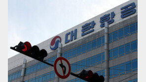 조현민 母 이명희 ‘욕설 갑질’ 의혹…대한항공 “회사 일 아니어서 확인 어렵다”