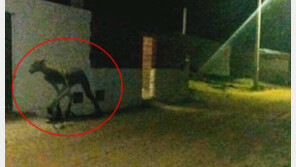 아르헨티나서 반인반수 ‘괴생물체’ 포착… 흡혈 괴물 추파카브라?