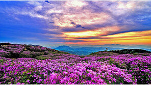 봄날, 너와 함께 떠나는 여행은 눈부시다