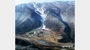 정선군 “가리왕산 올림픽경기장 존치해야”