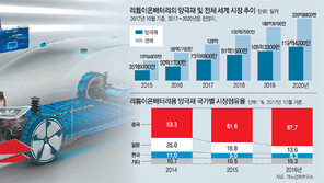 2차전지 시장 호황에… 배터리 소재 업계도 덩달아 콧노래