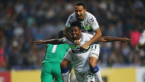 K리그 외인선수 국적 분포…브라질리언 52% 최다, 호주 6명·크로아 5명