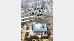 국회 상공 비행하는 블랙이글스