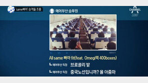 에어부산 승무원 논란에…“저가항공사 서비스, ‘가격대비 가치’도 낮아”