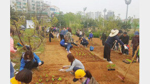 인천시 ‘도시농부 체험교육 농장’ 운영