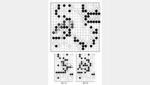 [바둑]알파고 vs 알파고 특선보… 힘이 쭉 빠지는 흑