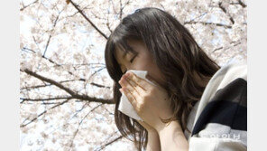 꽃가루 흩날리는 4월, 알레르기 주의보