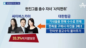 “대한항공 진짜 ‘갑질’은 일감 몰아주기…3남매, 회사 만들어 수십억 ‘꿀꺽’”