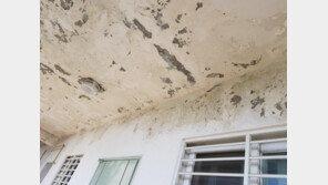 아파트 페인트 왜 쉽게 벗겨지나 했더니… 도색공사 담합-뒷돈 86명 적발