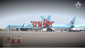 대한항공 이명희 ‘비행기 출발지연’ 갑질의혹…아들은 대학생에 육두문자? 