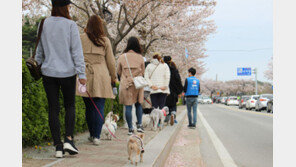 [Rising Biz & Star②] 이태규 대표, 청년창업드림캠프 최우수상…스타트업의 ‘신성’