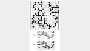 [바둑]알파고 vs 알파고 특선보…  흑이 밑지는 장사