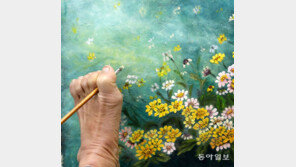 [고양이 눈]무한 자유