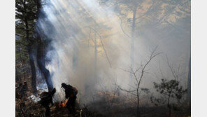 양양 산불 진화 완료…헬기 투입으로 잔불까지 완진 “인명피해 無”
