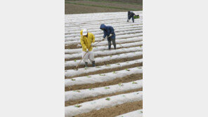 오늘 ‘곡우’, 봄의 마지막…전국 대낮 초여름 더위, 미세먼지 기승 